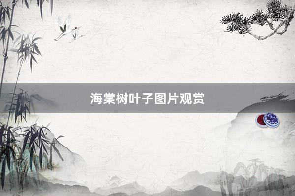 海棠树叶子图片观赏