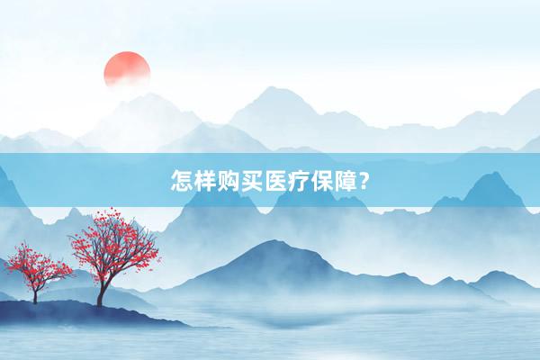 怎样购买医疗保障？
