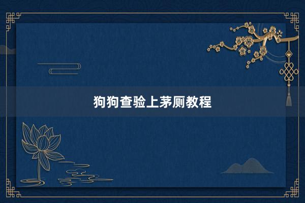 狗狗查验上茅厕教程